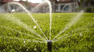 irrigation picture